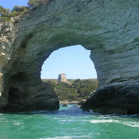 Maggiore Vieste