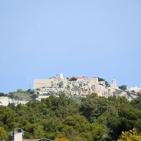 Maggiore 3*
